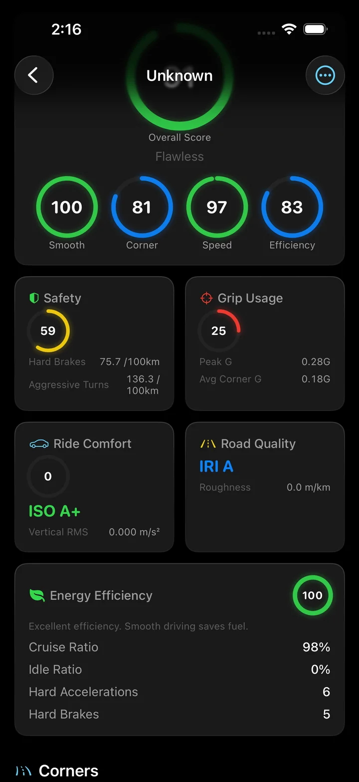 The Torq scorecard for one drive: an overall 95 with smoothness 100, cornering 81, speed control 97 and efficiency 83, then safety 59, grip usage 25, ride comfort ISO A+ and road quality IRI A.